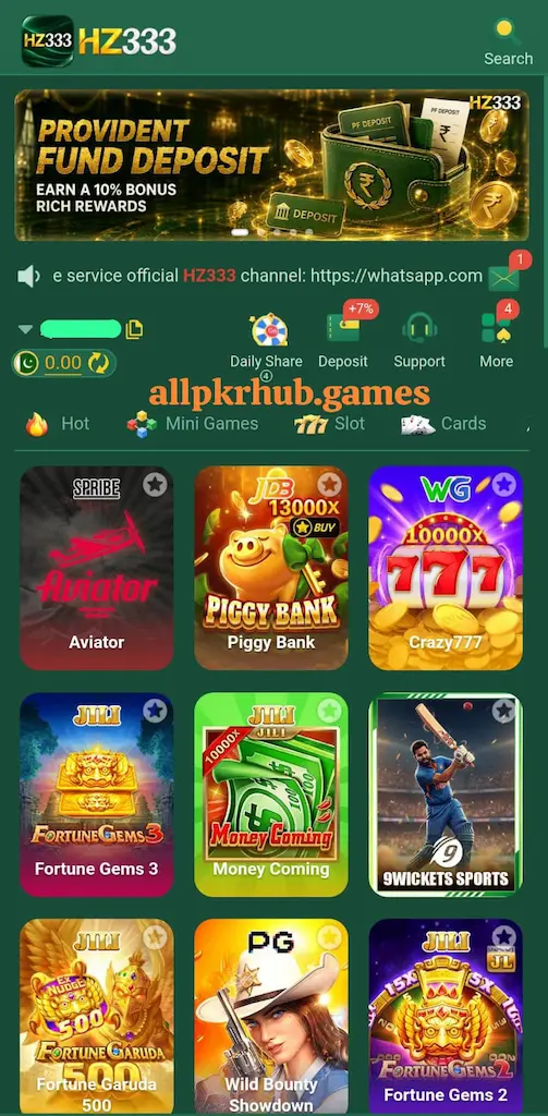 HZ333 Game