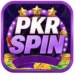 Pkr Spin