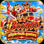 Boo999 Game