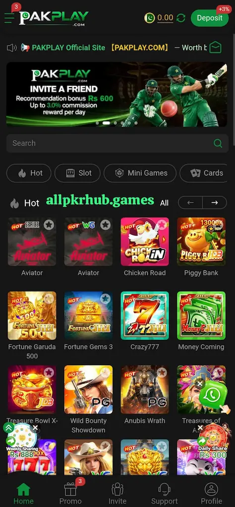 Pak Play