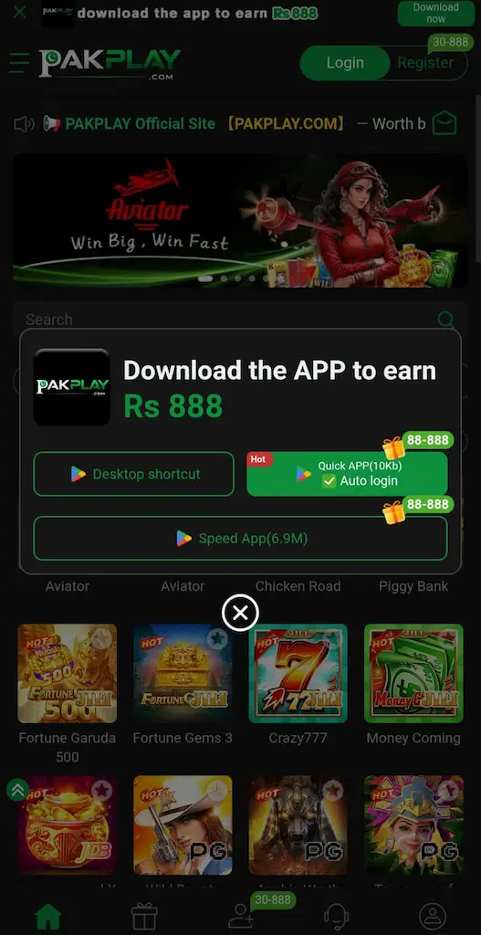 Pak Play